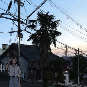 初夏、夕方の棕櫚