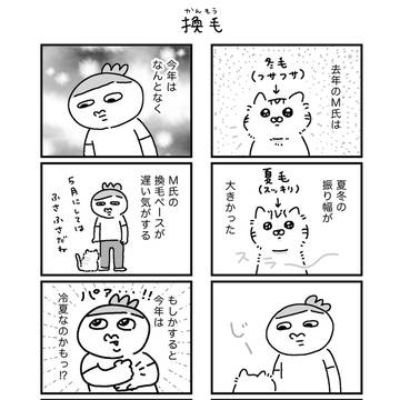 換毛