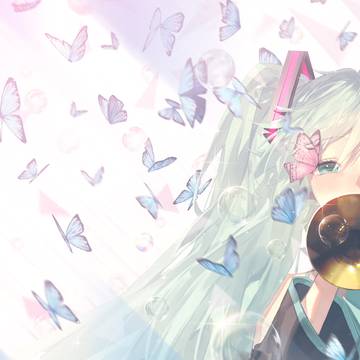 蝴蝶飞