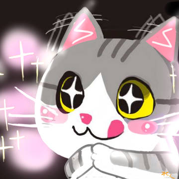 ねこ