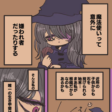 アニメの魔法少女に憧れた魔法使い