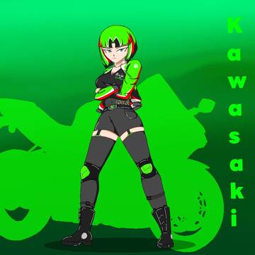 Kawasaki ZX10R