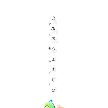 ammolite(アンモライト)