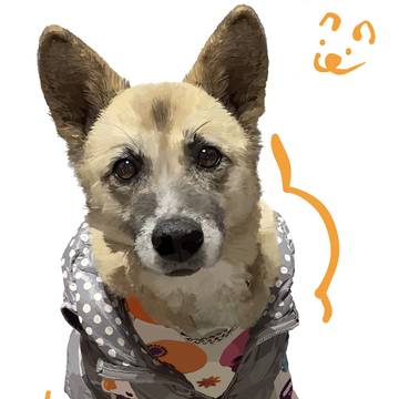 犬