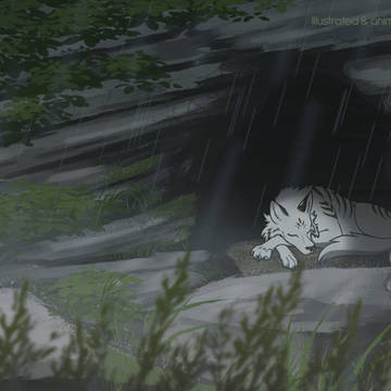 🌧️💤🌧️