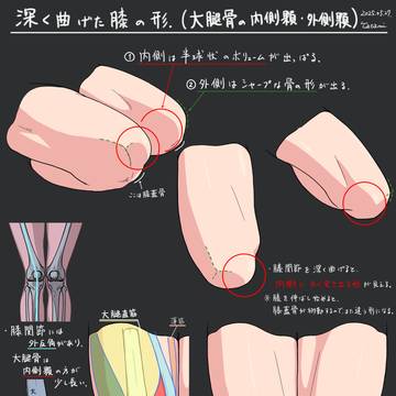 曲げた膝の形スタディ