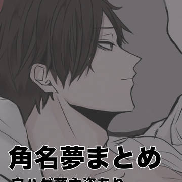すな夢まとめ