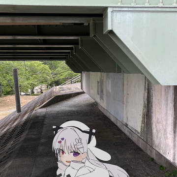 やせいの せいら が あらわれた！