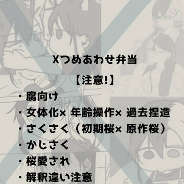 X詰め合わせ弁当