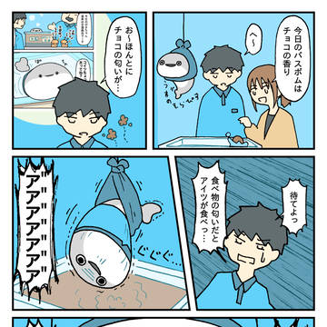 チョコバスボム