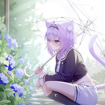 梅雨と猫