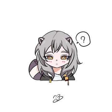 Little Raccoon