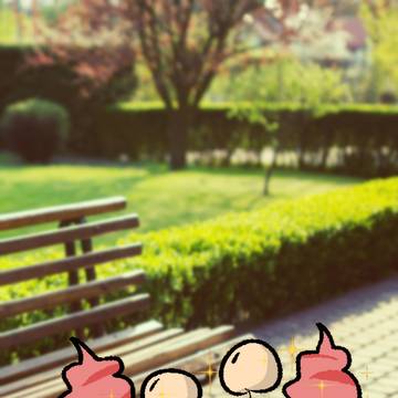 公園からゴミで汚染するのをやめてください。