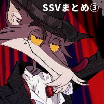 SSVまとめ③