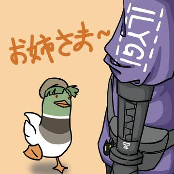 没有摆脱印随阶段的绿头鸭
