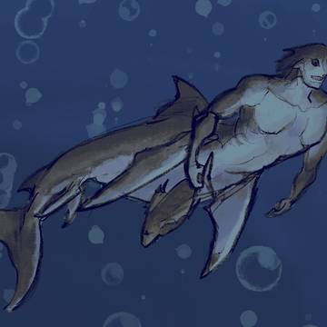 🦈 shark aggy