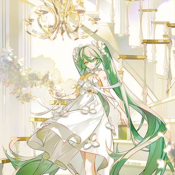 夏花✣