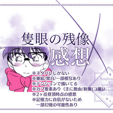 隻眼の残像感想