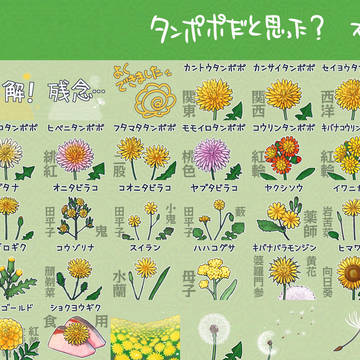 Lineスタンプ【タンポポだと思った?】