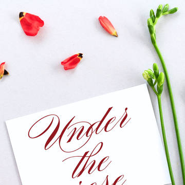 【小説サンプル】　Under the rose