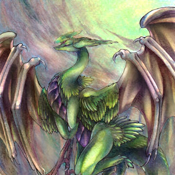 光竜