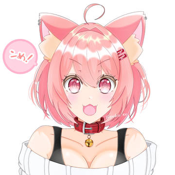 ギャルと化したンめねこ