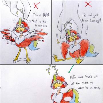 Care your Looney Bird