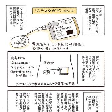 Page 6 thumbnail