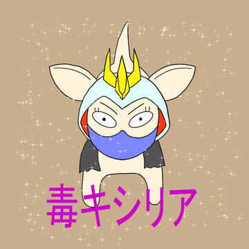 毒キシリア(チワワ)
