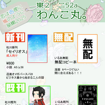 【お品書き】星に願いを2025【迅嵐】