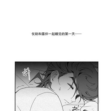 仗露