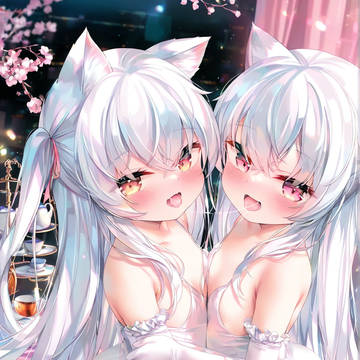 双份白丝猫猫