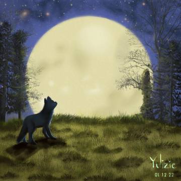 Wolf under the moon