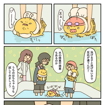 泳ぐはち
