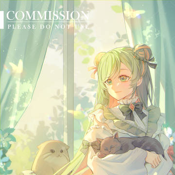 COMMISSION