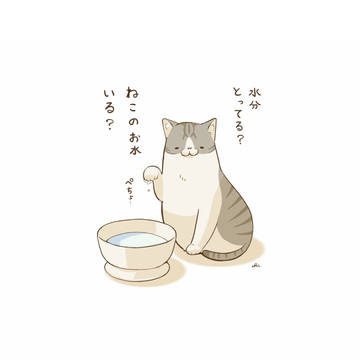 水分補給