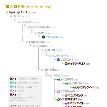 ウマ娘 サイアーライン