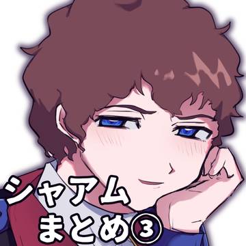シャアムまとめ③