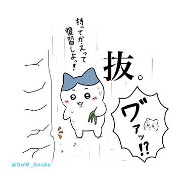 復習しなきゃ‼︎