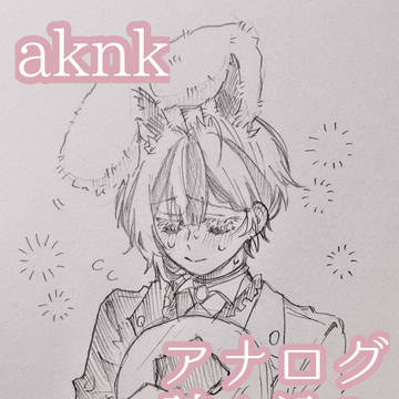 aknk アナログ 詰め込み