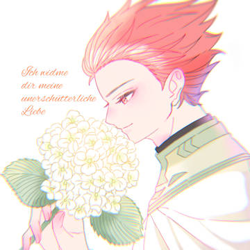 シュトルツと白い紫陽花