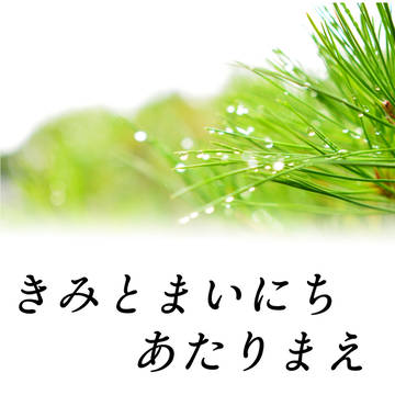 【pixiv承花小説再録本】きみとまいにちあたりまえ R18【告