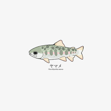 さかなまとめ①