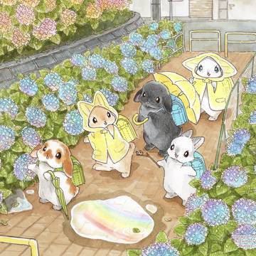あ! 雨やんだよ!