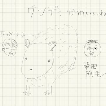 グンディかわいいね