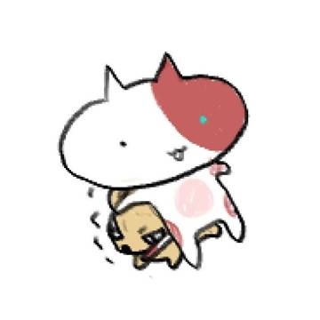 BKTD 犬猫