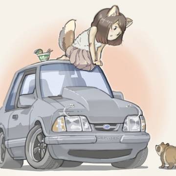 Fox and Raccoon