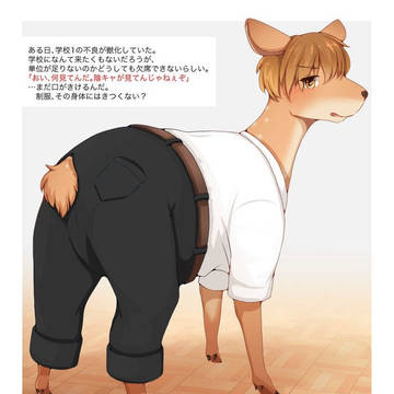不良少年→牝鹿TGTF