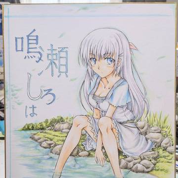 サマポケ水辺のしろはちゃん