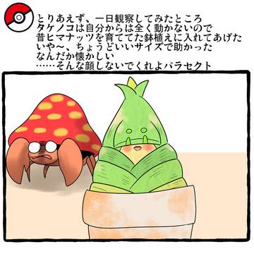 タケノコポケモン⑦